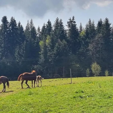 Western Recica ob Savinji
